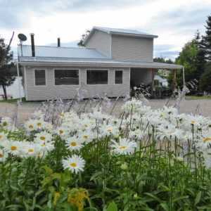Hébergement Cerfs-tifié 1 Hébergement Cerfs-tifié 1