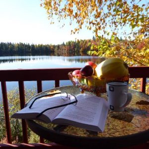 Hébergement cerfs tifié 3 Hébergement cerfs tifié 3